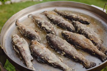 Forellenfischen & zubereiten