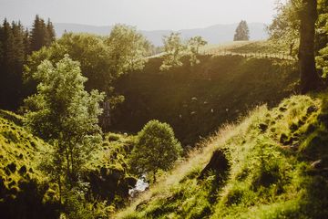 Morgentau am Bacherhof